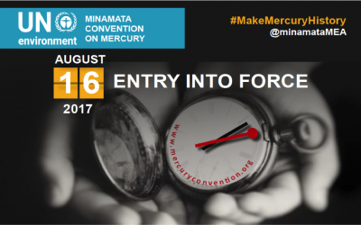 First Conference of the Parties to the Minamata Convention on Mercury (COP1)